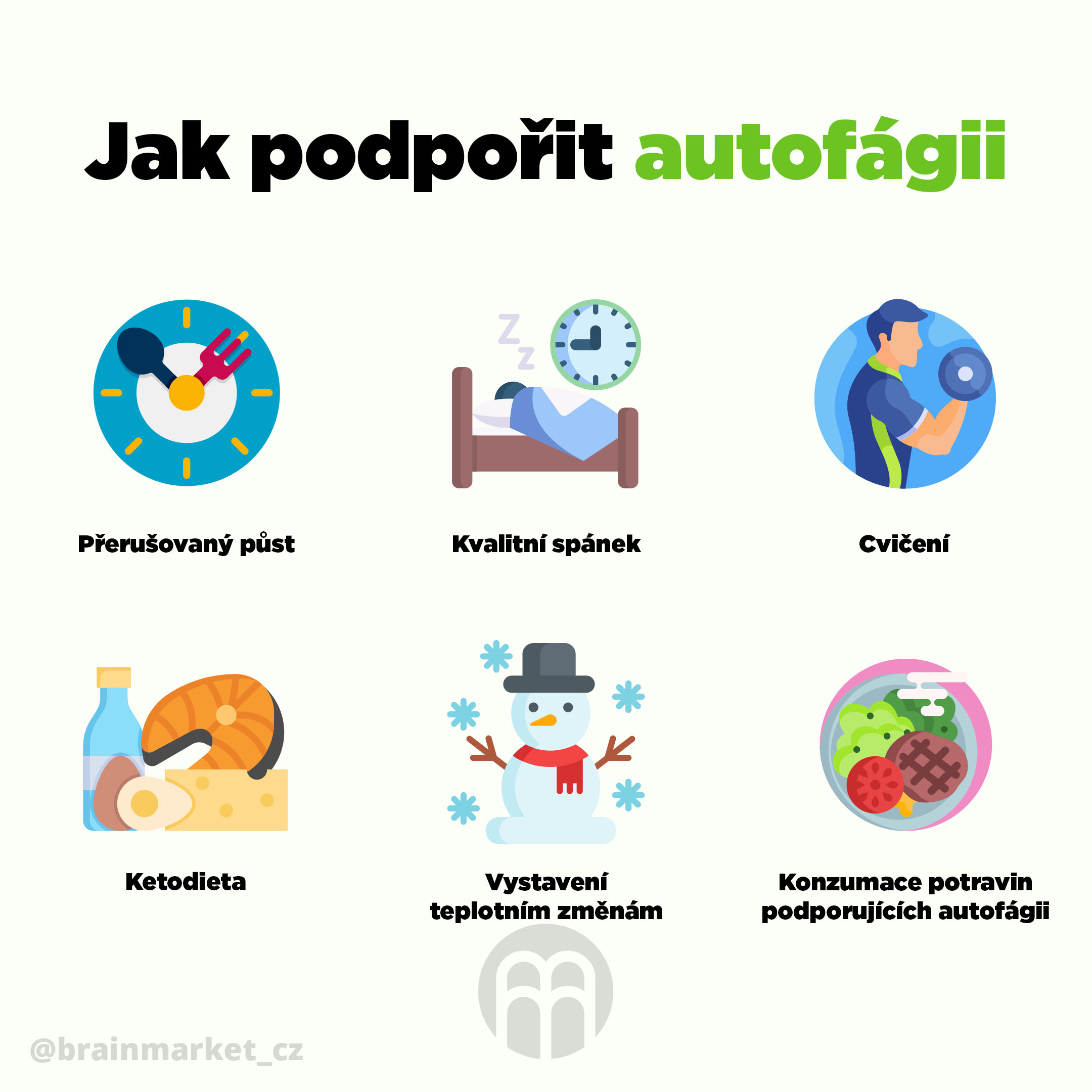 jak podporit autofagii infografika brainmarket CZ